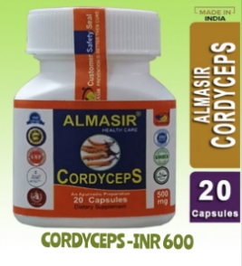 Cordyceps  capsules Small