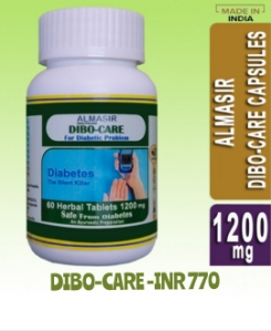 Dibo Care